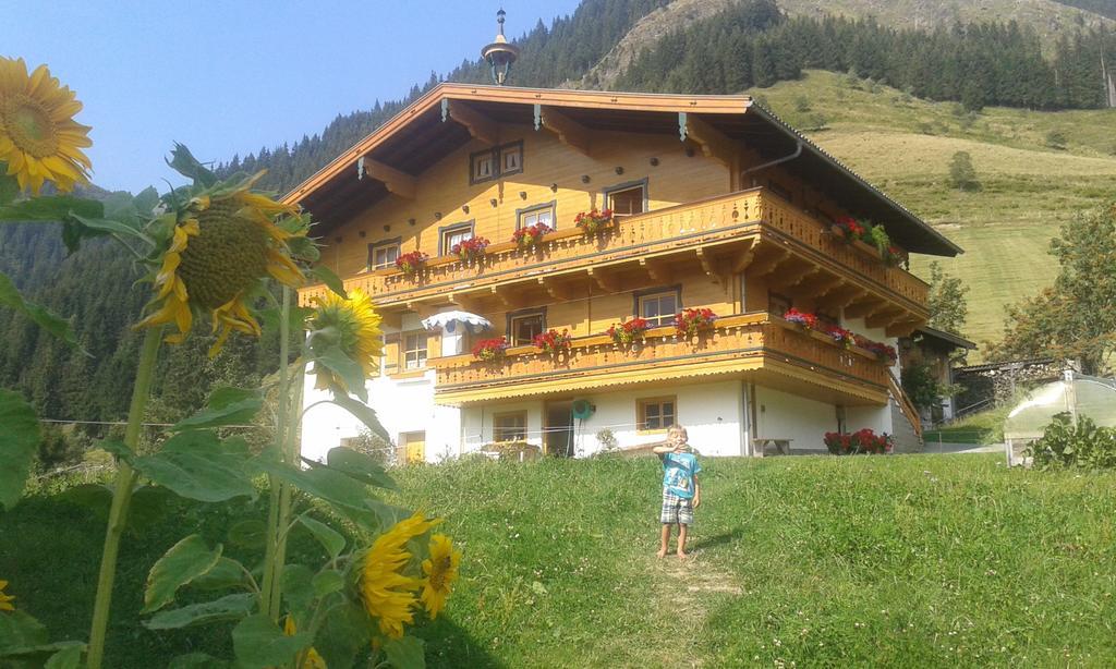 Biobergbauernhof Brandenau Apartment Taxenbach Ruang foto