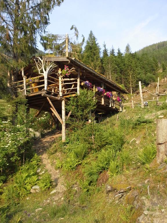 Biobergbauernhof Brandenau Apartment Taxenbach Bagian luar foto